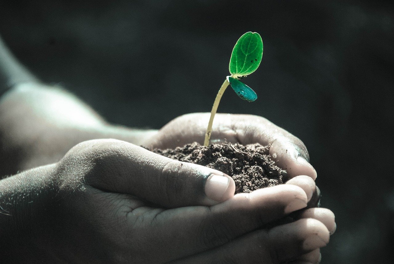 a full and abundant life