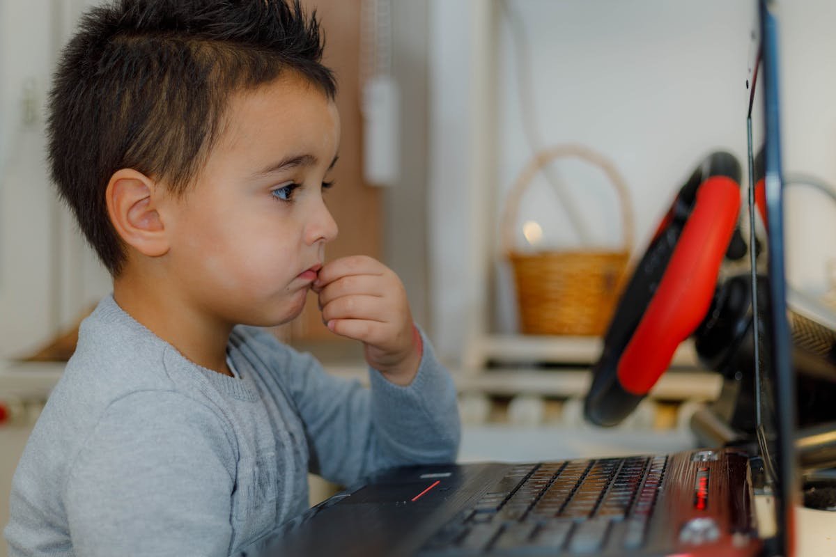 Children and the Internet
